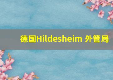 德国Hildesheim 外管局